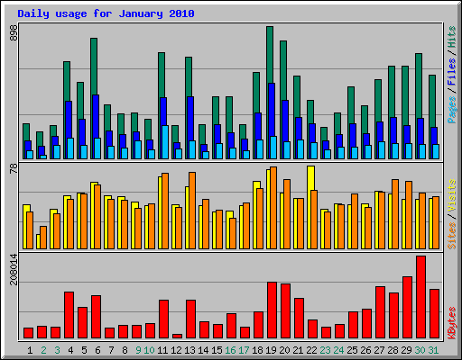 Daily usage for January 2010