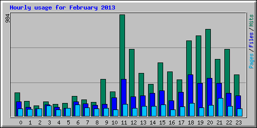 Hourly usage for February 2013