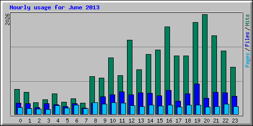 Hourly usage for June 2013