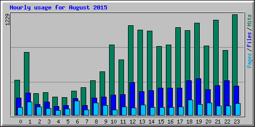 Hourly usage for August 2015