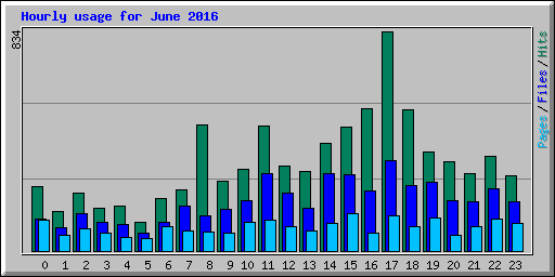 Hourly usage for June 2016