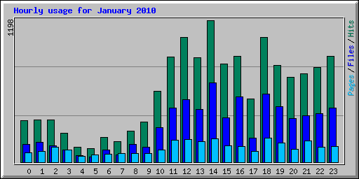 Hourly usage for January 2010