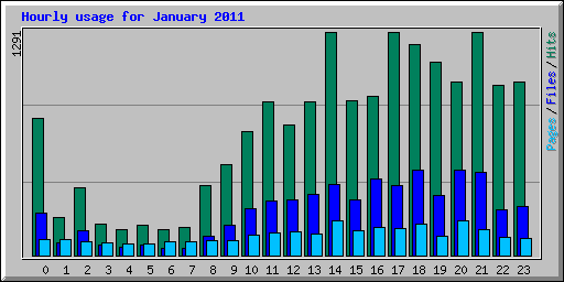Hourly usage for January 2011