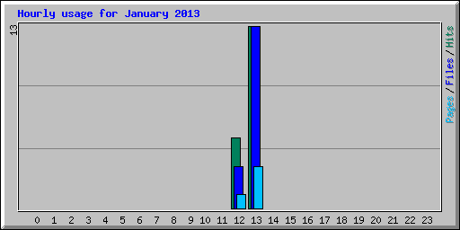 Hourly usage for January 2013