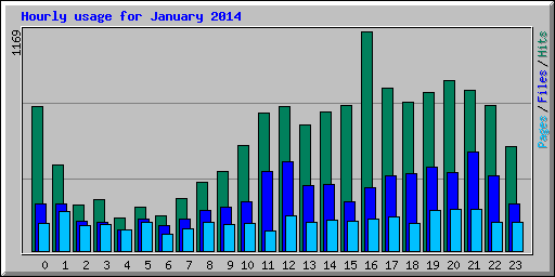 Hourly usage for January 2014